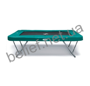 Батут Berg Eazy Store 330x220